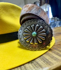 The Turquoise Cow Belt