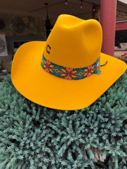 Charlie 1 Horse - Gold Digger Yellow Belly