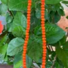 Coral Reef Round Choker